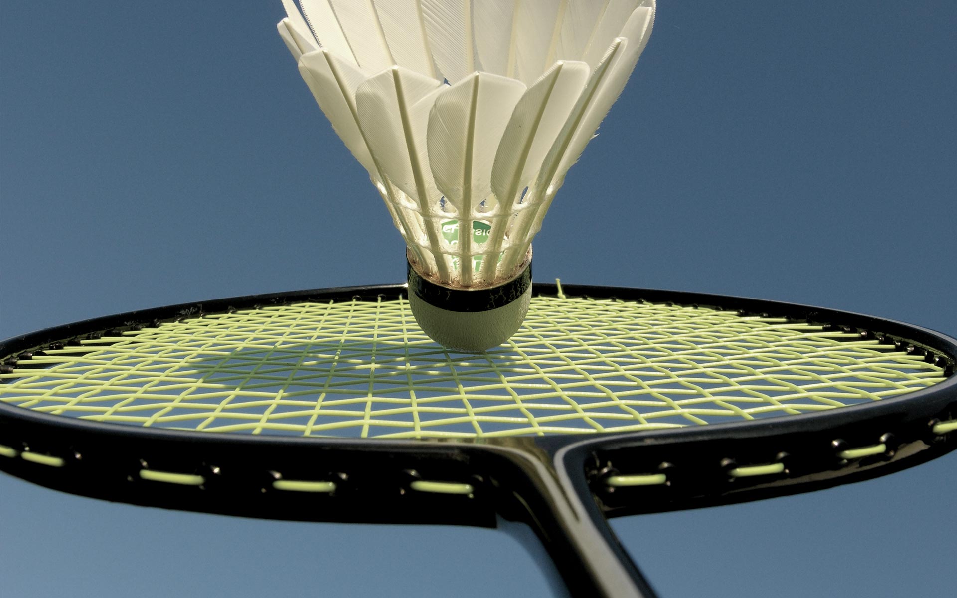 2022 - ASAA Badminton Provincials Banner