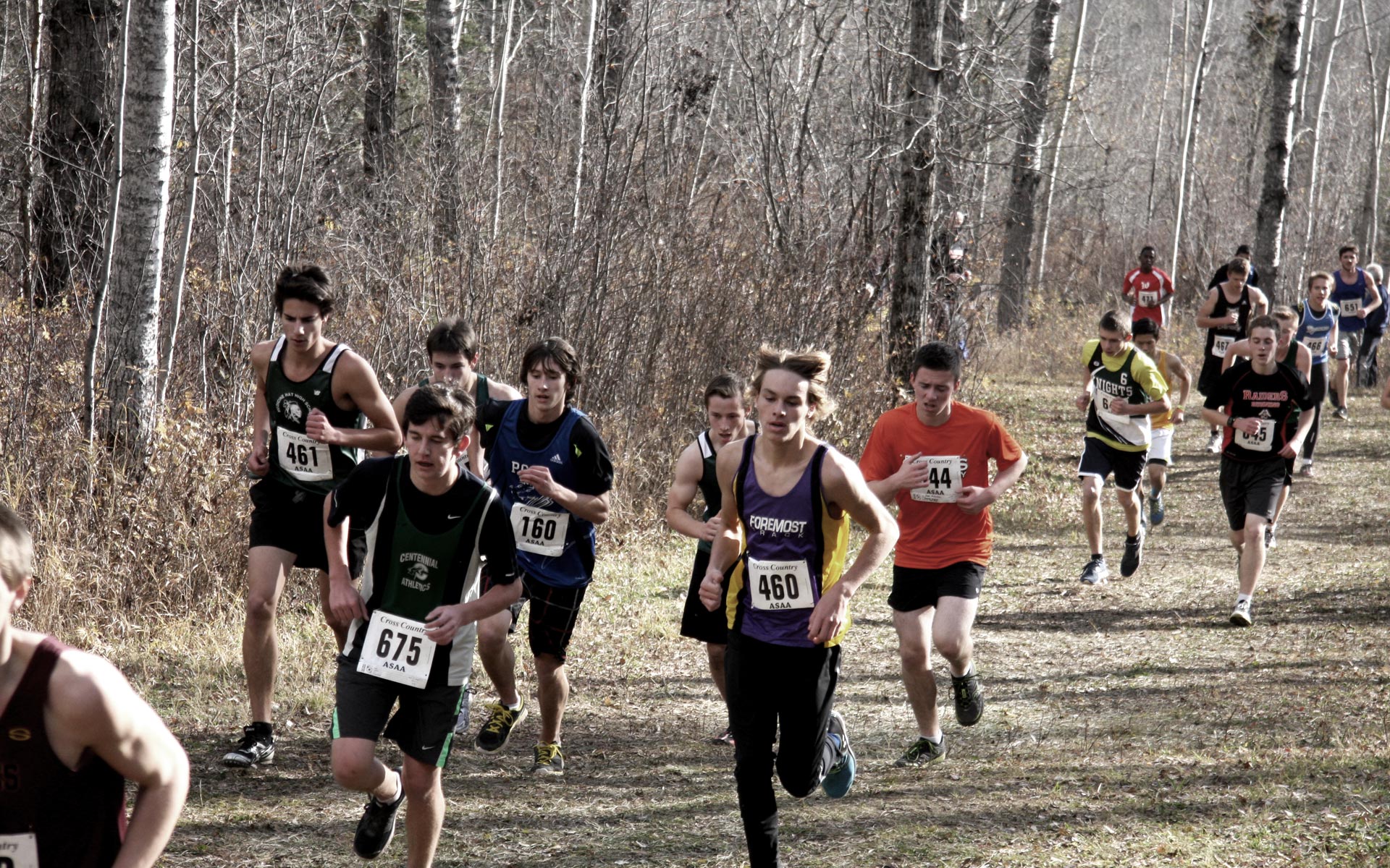 2016 ASAA Cross Country Provincials Banner