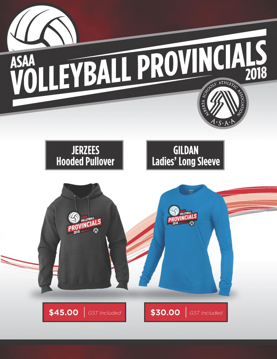 volleyball merchandise