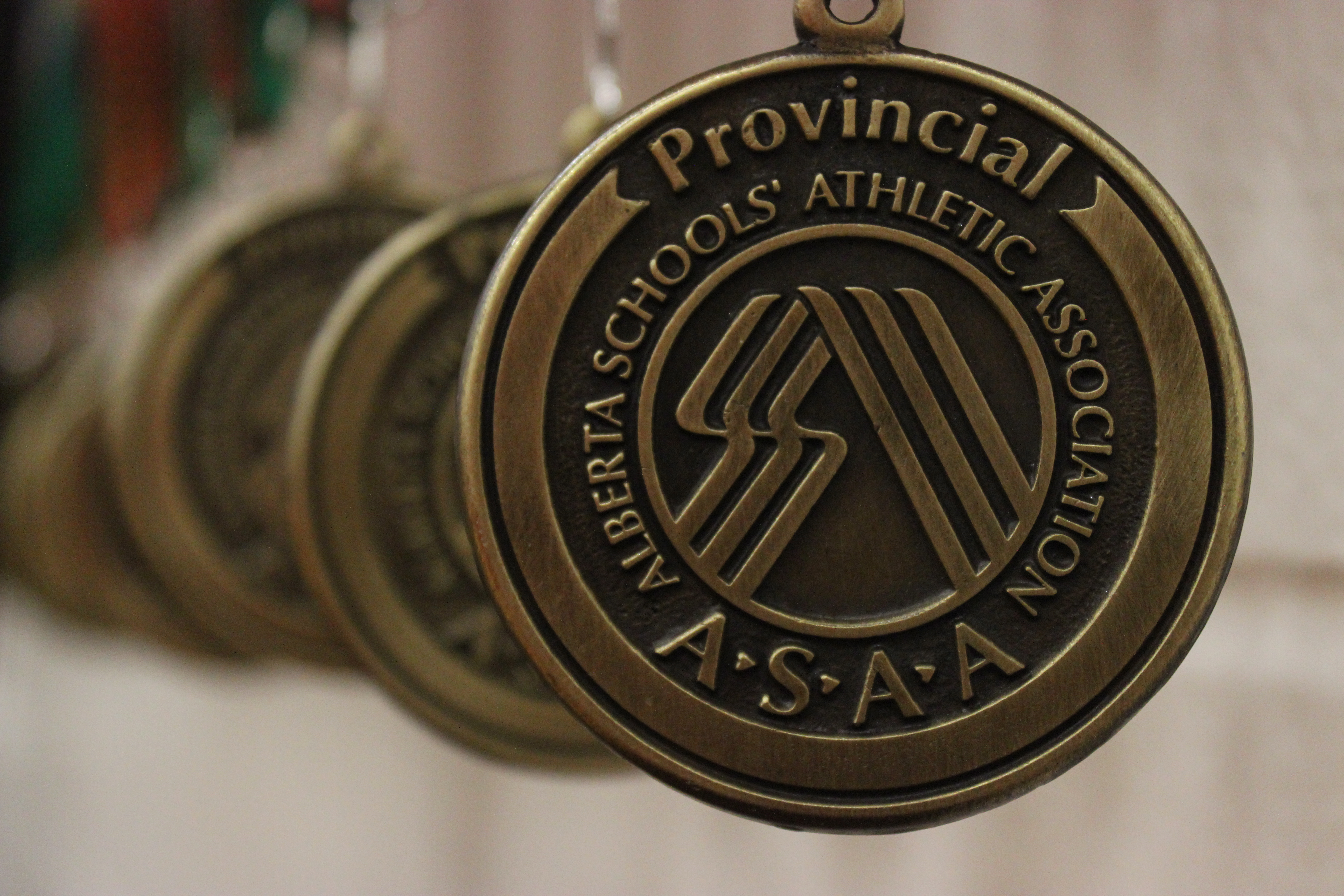 Cochrane vs PWA (Gold Medal Match)